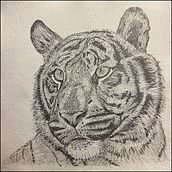 My project for course: Naturalistic Animal Drawing with Graphite Pencil. Traditional illustration, Pencil Drawing, Drawing, and Naturalistic Illustration project by Alan Gould - 11.21.2023