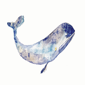 Whales. Traditional illustration project by Marxela Cereseto - 11.21.2023