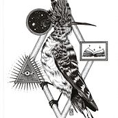 My project for course: Realistic Illustration of Birds with Imaginative Elements. Pencil Drawing, Drawing, Ink Illustration, and Naturalistic Illustration project by Valentina Tassini - 11.22.2023