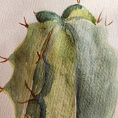 Cactus . Fine Arts, and Watercolor Painting project by Chrees Jubilee - 11.23.2023