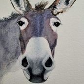 Il mio progetto del corso: Ritratti espressivi di animali ad acquerello. Un proyecto de Ilustración tradicional, Pintura a la acuarela, Dibujo realista e Ilustración naturalista				 de Antonio Balzarini - 24.11.2023