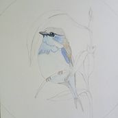 Mi proyecto del curso: Acuarela con detalles en filigrana y toques metálicos. Un progetto di Illustrazione tradizionale, Pittura, Pittura ad acquerello, Illustrazione botanica, Illustrazione naturalistica e Pittura decorativa di Sandra Platero - 24.11.2023
