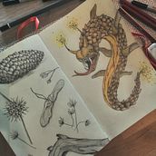 Mein Abschlussprojekt für den Kurs: Fantastisches Natur-Skizzenbuch: Kreaturen aus einer anderen Welt. Pencil Drawing, Drawing, Sketchbook, Naturalistic Illustration, and Watercolor Painting project by Sophia Z - 11.24.2023