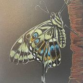 Development of the finest cat - Heisenbugs. Un progetto di Artigianato e Disegno a matita di Barbara Jamieson - 25.11.2023