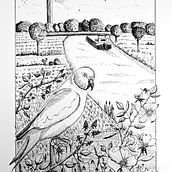 Mon projet du cours : Illustration à l'encre et à la plume : représentez le monde naturel. Un projet de Esquisse , Dessin, Dessin artistique, Carnet de croquis, Illustration à l'encre et Illustration naturaliste de Bruno Parmentier - 28.11.2023