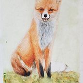 Meu projeto do curso: Retratos expressivos de animais em aquarela. Un progetto di Illustrazione tradizionale, Pittura ad acquerello, Disegno realistico e Illustrazione naturalistica di Priscila Freitas - 22.11.2022