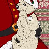 Pets Animation. Un progetto di Illustrazione tradizionale di Ariana Aguirre - 27.11.2023