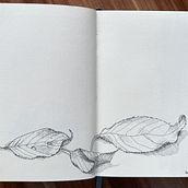 My project for course: Illustrated Diary: Fill Your Sketchbook with Experiences. Traditional illustration, Sketching, Drawing, Sketchbook & Ink Illustration project by julia9415 - 11.25.2023