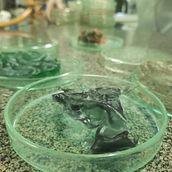 Mi proyecto del curso: Biomateriales: creación de materiales con descartes orgánicos. Arts, Crafts, and DIY project by María José Logreira Jiménez - 11.28.2023