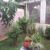 Mi proyecto del curso: Jardin Nave. L, scape Architecture, Floral, Plant Design, and Spatial Design project by Nayla Hernandez - 11.28.2023