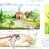 Il mio progetto del corso: Diario di viaggio ad acquerello. Un proyecto de Ilustración tradicional, Pintura a la acuarela, Ilustración arquitectónica y Sketchbook de Loredana Atzei - 28.11.2023