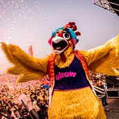 PARTY ELROW. Video Editing, Film, Video, and TV project by Marina Baeza - 11.28.2023