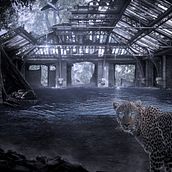 Mi proyecto del curso: Secretos del fotomontaje y el retoque creativo. Photograph, Photograph, Post-production, VFX, Photo Retouching, Fine-Art Photograph, Photographic Composition, and Photomontage project by cat2020 - 11.28.2023