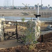 Various landscape projects designed by me. Un proyecto de Paisajismo de Sonia Nicholson - 30.11.2023