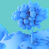 My project for course: 3D Animation with Cinema 4D and Redshift for Beginners. Un progetto di 3D, Animazione 3D, Modellazione 3D e Progettazione 3D di George Fernandez - 26.11.2023
