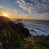 Punta de Lobos. Een project van Fotografie van Luisa Vergara - 30.11.2023