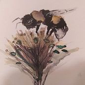 Mi proyecto del curso: Ilustración naturalista con acuarela y carboncillo . % Bárbara Azagra tarafından hazırlanan Geleneksel illüstras, on, Tablo, Doğalcı İllüstras, Ve on projesi - 12.01.2023