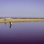 violeta ∞. Fotografia, Direção de arte, e Artes plásticas projeto de Pamela Paternina - 02.12.2023