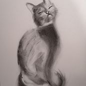 Sieste au soleil . Fine Arts, Drawing, Portrait Drawing, and Naturalistic Illustration project by fabienne - 12.02.2023