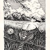 My project for course: Dip Pen and Ink Illustration: Capturing The Natural World. Un progetto di Bozzetti, Disegno, Disegno artistico, Illustrazione con inchiostro e Illustrazione naturalistica di Davide Santarsiere - 03.12.2023