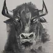 Mi proyecto del curso: Dibujo expresivo con carboncillo. Projekt z dziedziny  Sztuki piękne,  R, sunek, Portret, Ilustracja naturalist i czna użytkownika Cesar Aguilar - 03.12.2023