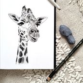 My project for course: Animal Illustration with Charcoal and Ink. Un proyecto de Bellas Artes, Dibujo, Ilustración con tinta e Ilustración naturalista				 de Annika - 04.12.2023