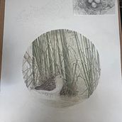 sharp tailed Sandpiper wetlands. Un progetto di Illustrazione tradizionale di Jo - 26.11.2023