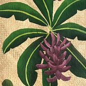 Meu projeto do curso: Pintura com tinta acrílica: crie peças coloridas e tropicais. Projekt z dziedziny  Malarstwo, Malarstwo akr, lowe, Ilustracja naturalist i czna użytkownika kariina.t - 04.12.2023