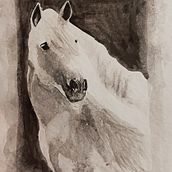 Watercolour Horse. Watercolor Painting project by gloriaorchidea - 12.04.2023