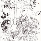 100 days of Nature in my city . Un proyecto de Ilustración tradicional de marinasoareses - 11.11.2022