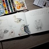 My project for course: Illustrated Travel Sketchbook: Recording Nature. Pencil Drawing, Drawing, Watercolor Painting, Naturalistic Illustration, and Sketchbook project by Ivonne Wierink - 12.05.2023