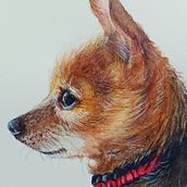 Watercolor paintings. Painting project by Patti Shouldice - 12.06.2023