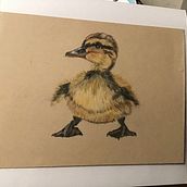 Birds Bend Oregon. Traditional illustration project by marylroberts - 12.06.2023