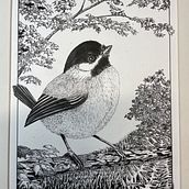 My project for course: Dip Pen and Ink Illustration: Capturing The Natural World . % jaadvm tarafından hazırlanan Eskiz çizimi, Çizim, Sanatsal Çizim, Eskiz defteri, Mürekkep İllüstras, onu, Doğalcı İllüstras, Ve on projesi - 12.08.2023
