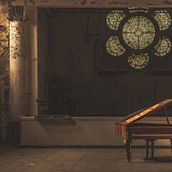 Vielfalt. Photograph, Post-production, Character Design, and Photograph project by Petra Flick - 12.09.2023