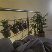 Il mio progetto del corso: Interior design: decora con piante da zero. Un progetto di Interior design, Paesaggismo, Interior Design, Interior Design, DIY, Design floreale e vegetale e Progettazione dello spazio di Martina Monticelli - 10.12.2023