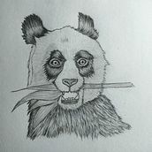 Mi proyecto del curso: Dibujo naturalista de animales con grafito. Traditional illustration, Pencil Drawing, Drawing, and Naturalistic Illustration project by Juan Sebastián Gutierrez Torres - 12.11.2023
