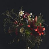 barok. Floral, and Plant Design project by Lisa Janssen - 12.13.2023