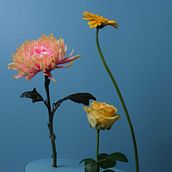 Give me some retro. Floral, and Plant Design project by Lisa Janssen - 12.13.2023