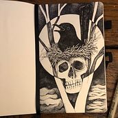 My project for course: Realistic Illustration of Birds with Imaginative Elements. Pencil Drawing, Drawing, Ink Illustration, and Naturalistic Illustration project by Natalia Turkiewicz - 12.17.2023