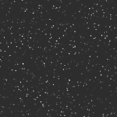We are all made of stars. Programming, Multimedia, and JavaScript project by Neil Mizzi - 12.16.1997