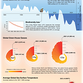 Mi proyecto del curso: Diseño de la información: cuenta historias con datos en Illustrator. Graphic Design, Information Design, Interactive Design & Infographics project by Julia Bauzá Martinez - 12.19.2023