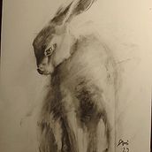 Rabbit prince. Traditional illustration, Drawing, and Portrait Drawing project by Shael Ami - 12.19.2023