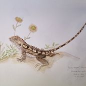 My project for course: Illustrated Travel Sketchbook: Recording Nature. Pencil Drawing, Drawing, Watercolor Painting, Sketchbook, and Naturalistic Illustration project by Wendy Allison - 12.21.2023