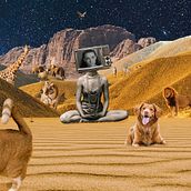 My project for course: Animated Collage with Adobe After Effects. Animation, Collage, 2D Animation, and Video Editing project by Natalia Topol - 12.19.2023