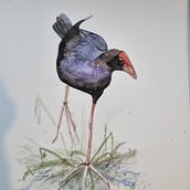 Artistic Watercolour Techniques for Illustrating Birds - Sarah Stokes. Arts, Crafts, and Fine Arts project by Wendy Allison - 12.22.2023