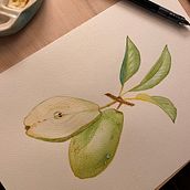 My project for course: Realistic Botanical Illustration: Escape to Nature. Painting, Watercolor Painting, Botanical Illustration, and Naturalistic Illustration project by Khushboo Kakkar - 12.22.2023