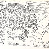 White Cottages Beech and Tilly. Sketching, Drawing, Artistic Drawing, Sketchbook, Ink Illustration, and Naturalistic Illustration project by jonathanfergusonvernon - 12.20.2023