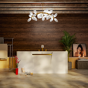 WORK CARRIED OUT IN THE C4D AND CORONA RÉNDER COURSE. Photograph, Traditional illustration, Advertising, and 3D project by axsomplus - 12.26.2023