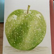 My First project for course: Botanical Watercolor: Illustrating Art and Science. Projekt z dziedziny Trad, c, jna ilustracja,  Sztuki piękne,  Malarstwo,  R, sunek, Malowanie akwarelą, R i sunek botaniczn użytkownika Amanda Kleinman - 28.12.2023